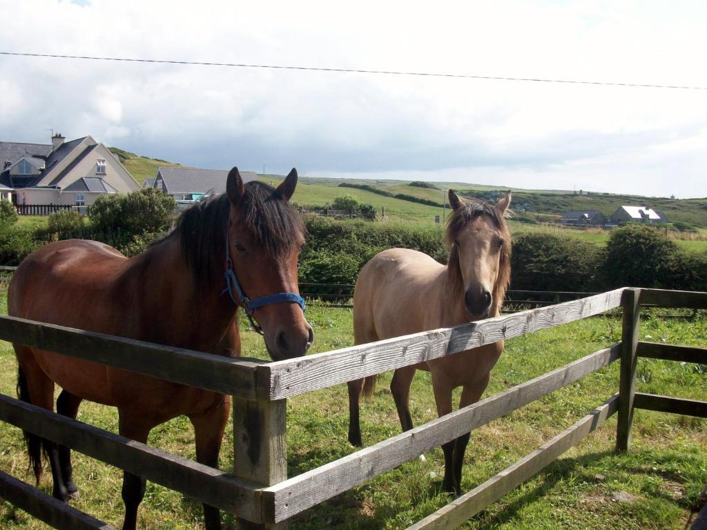O'Connor'S Accommodation Doolin Exteriör bild