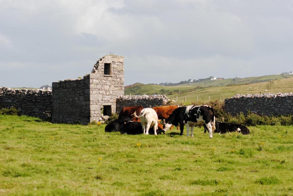 O'Connor'S Accommodation Doolin Exteriör bild