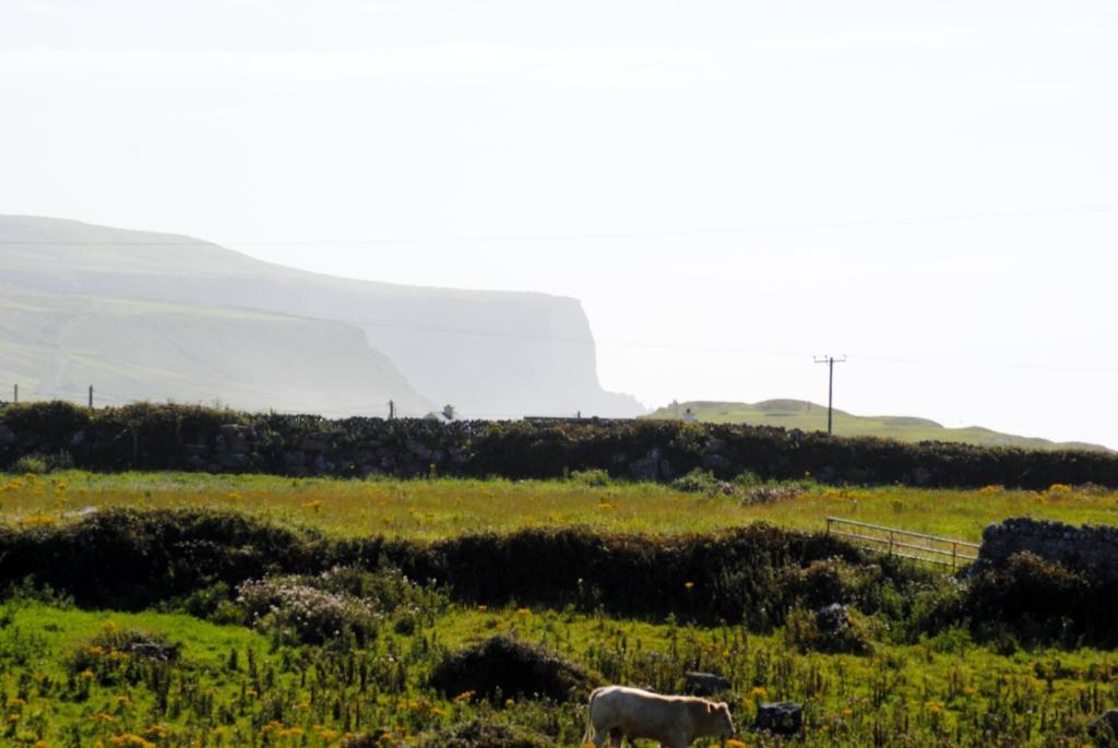 O'Connor'S Accommodation Doolin Exteriör bild